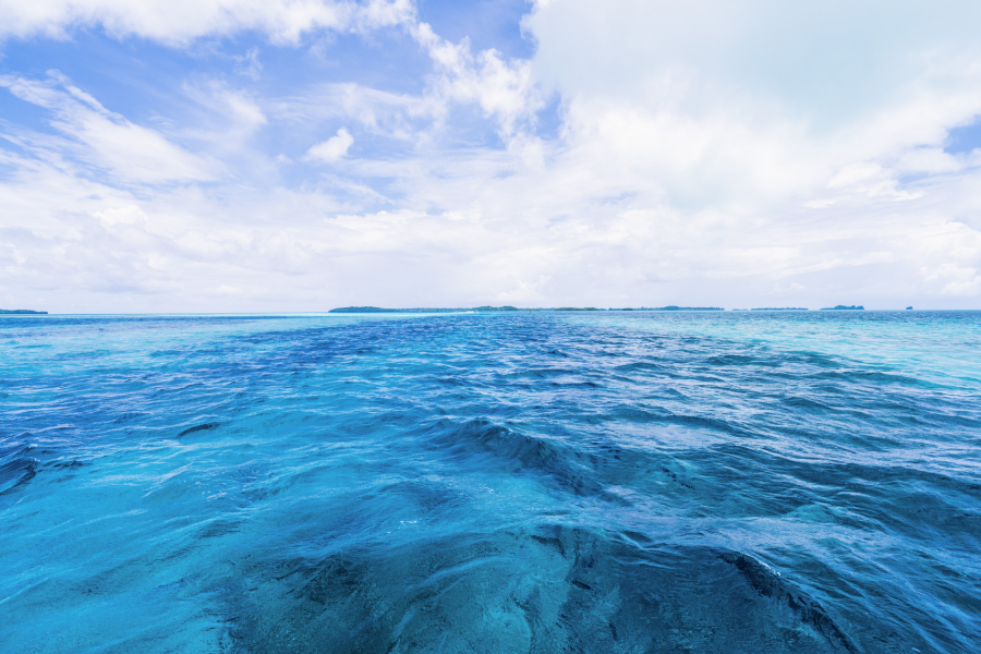 蓝色经济