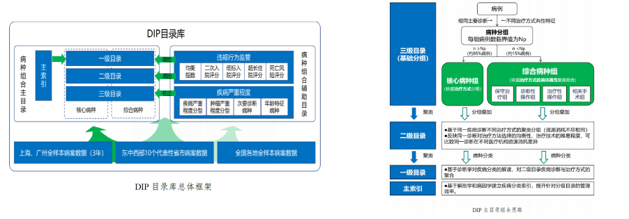 DIP付费