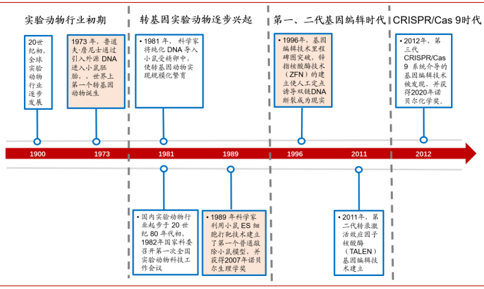 模式动物发展历程