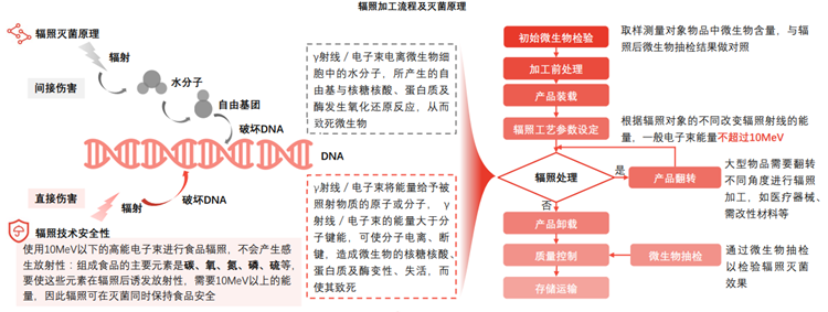 辐照加工流程及灭菌原理