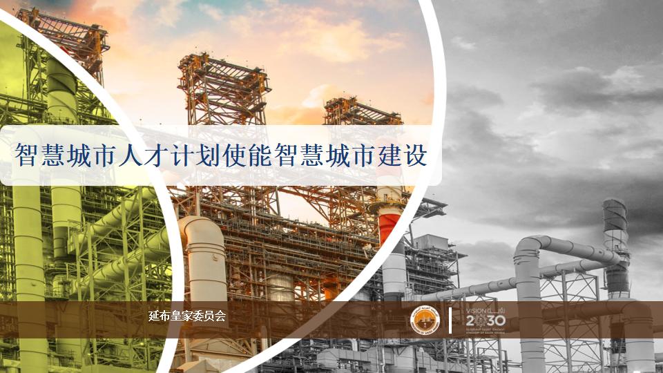 智慧城市人才计划使能智慧城市建设
