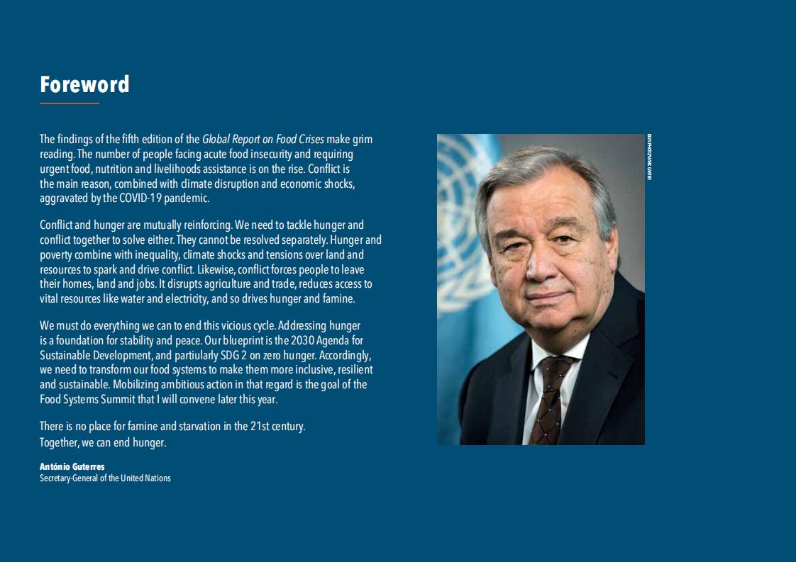 联合国 21年全球粮食危机报告 英文版 外唐智库