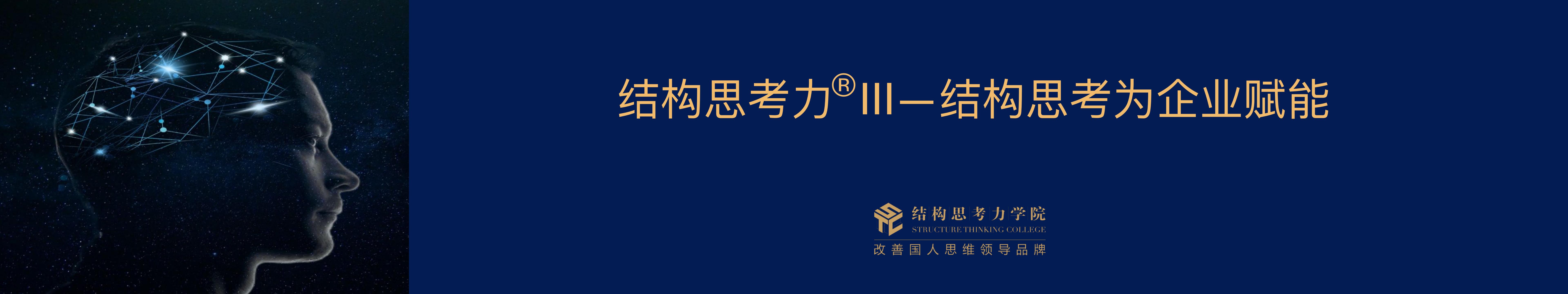 结构思考⼒® III—结构思考为企业赋能