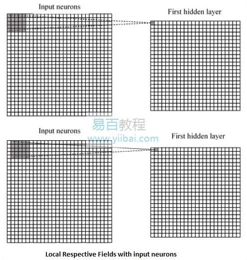 局部感受域 局部感受域
