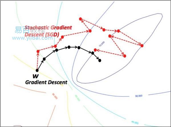 随机梯度下降 随机梯度下降