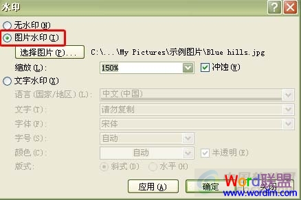 用Word2007为文档添加文字水印和图片水印