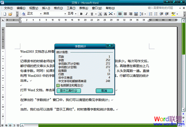 Word2003文档怎么样看字数