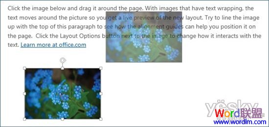 老版Word不支持实时布局