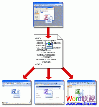 供其他程序使用的 XML