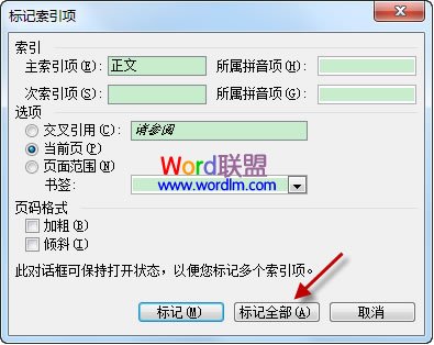Word文档标记索引项