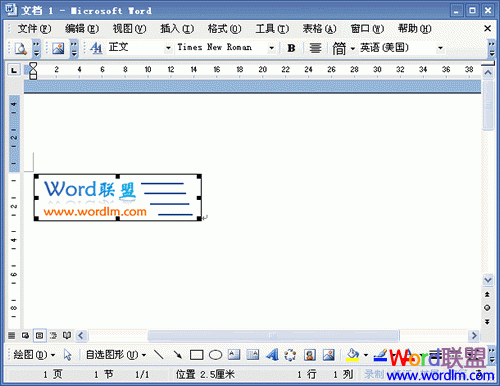Word2003中插入的图片