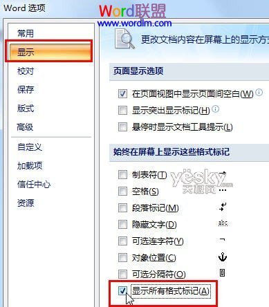 显示所有格式标记