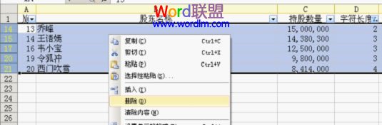 WPS表格数据应用实战教程