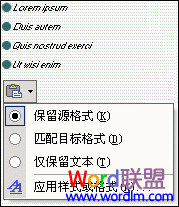 Word2003如何确定格式选项