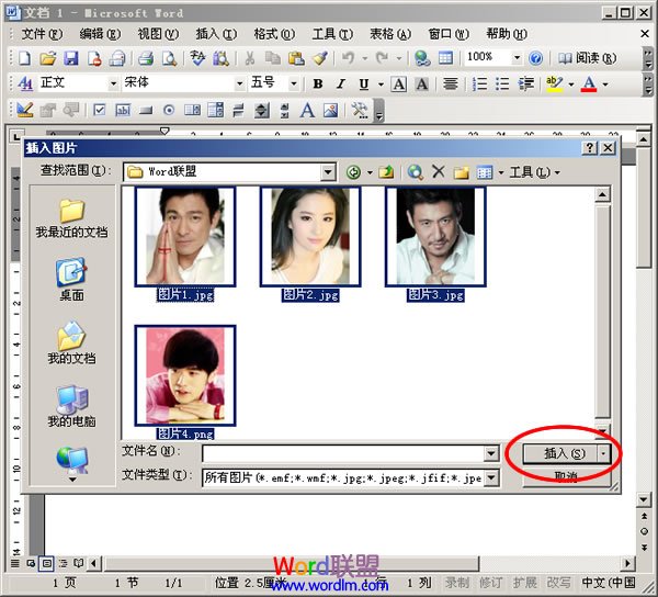 选择图片全插入