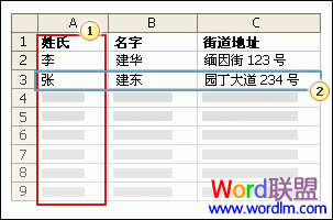 『Word2007技巧』将占位符（也称为邮件合并域）添加到信封