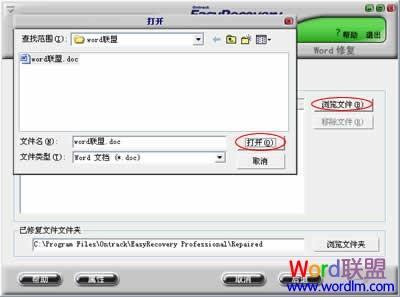 Word文档乱码修复软件（1）EasyRecovery