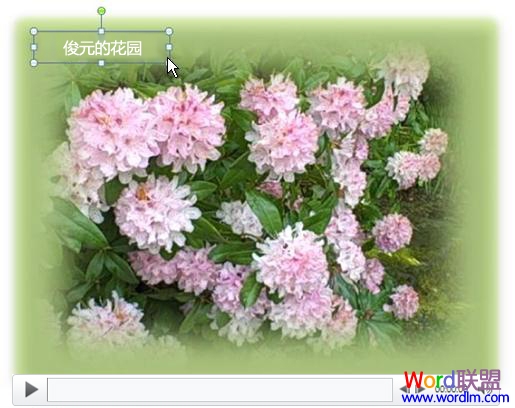 PowerPoint2010向视频添加作为叠加的文本