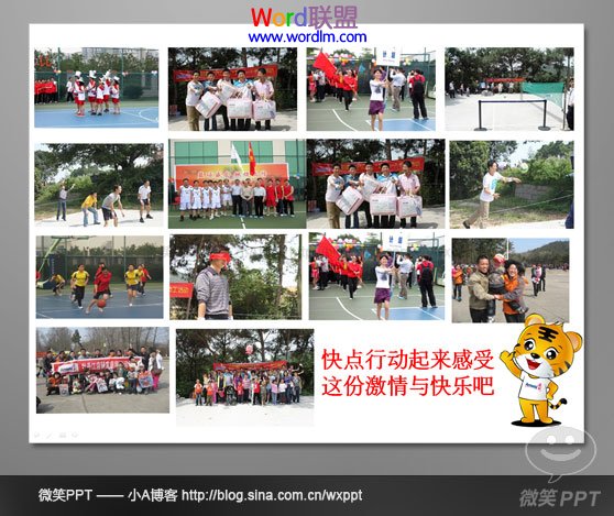 PowerPoint中快速排列、布局图文知识