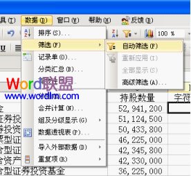 WPS表格数据应用实战教程