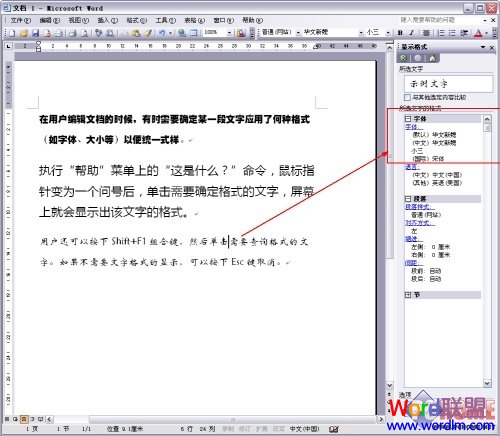 Word2003文档某处字体的格式