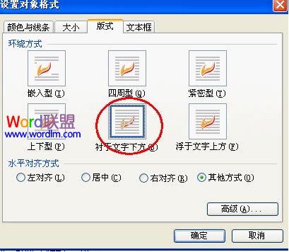 WPS文字中用文本框给文章添加版权标注