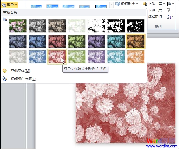 PowerPoint2010对视频重新着色