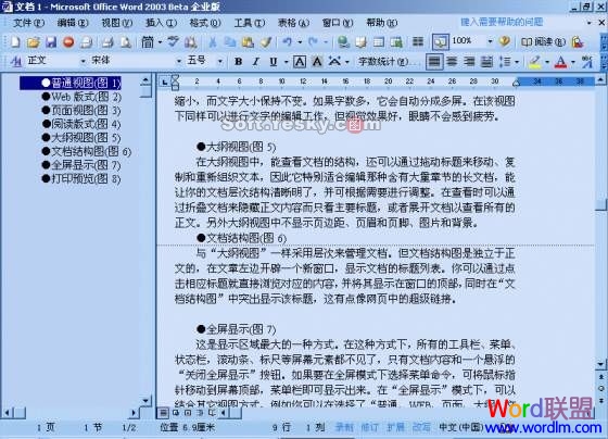 Word2003中页面视图、大纲视图详细说明