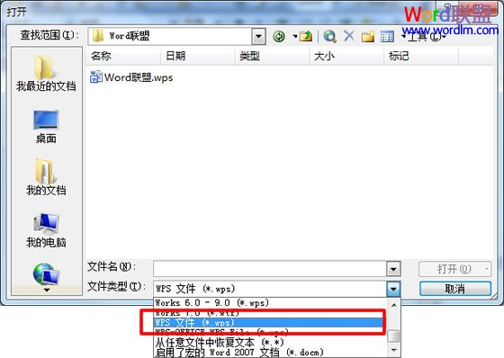 WPS文件如何打开