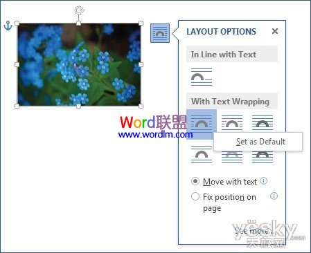 Word2013增加布局选项按钮 设置缺省选项