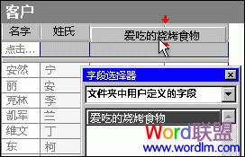 『Word2007技巧』设置包含自定义域的联系人视图
