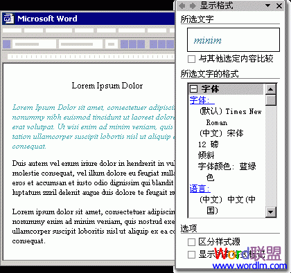 怎么样用Word2003查看格式详细信息