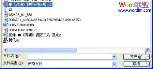 办公时出现的多种Word打不开，导致无法正常工作怎么办？