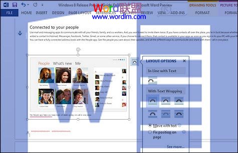 “布局选项”按钮
