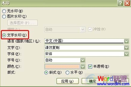 用Word2007为文档添加文字水印和图片水印