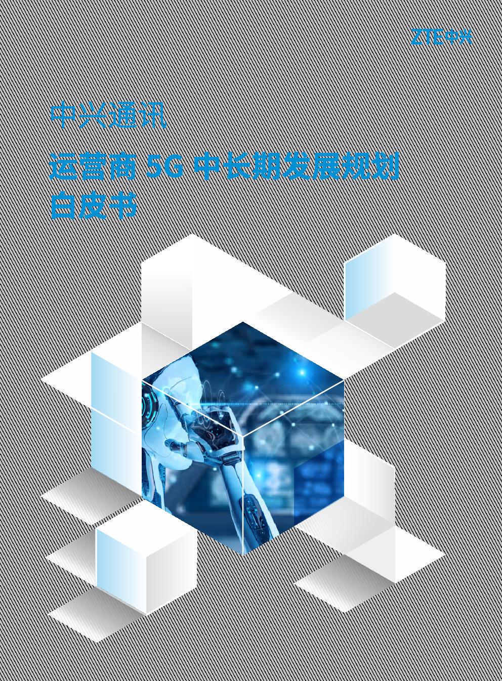中兴通讯：运营商5G中长期发展规划白皮书 海报