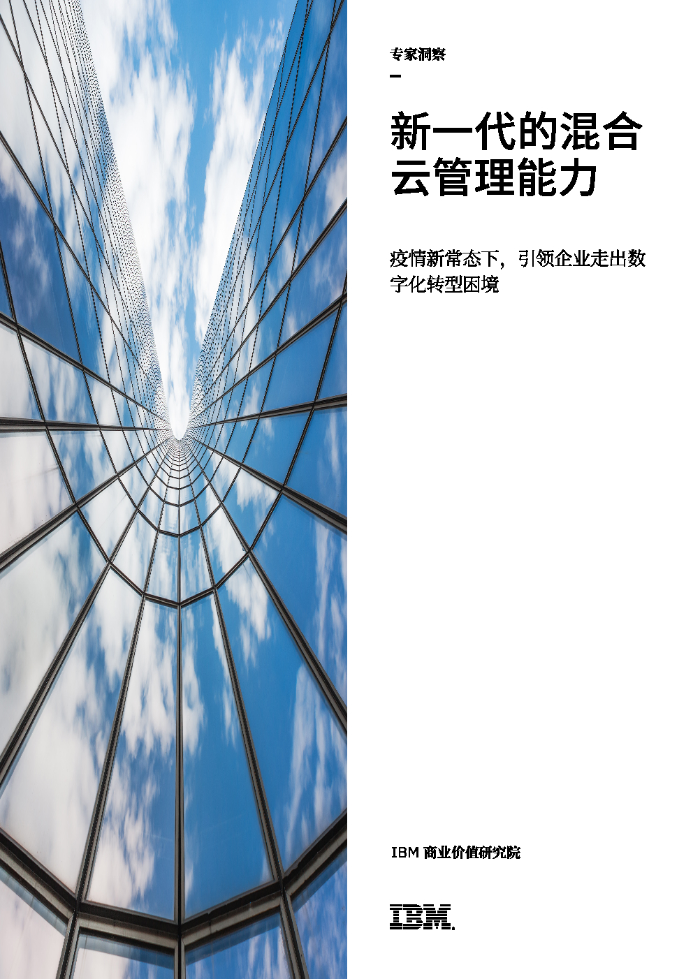 IBM商业价值研究院：新一代的混合云管理能力