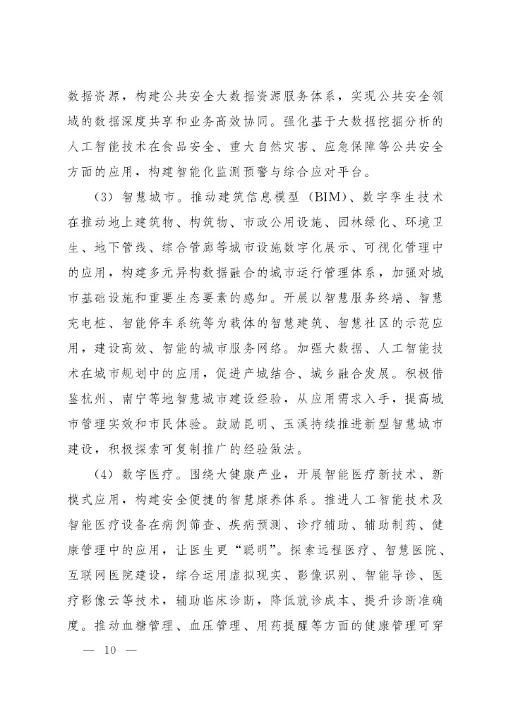 云南省新一代人工智能发展规划_第10页