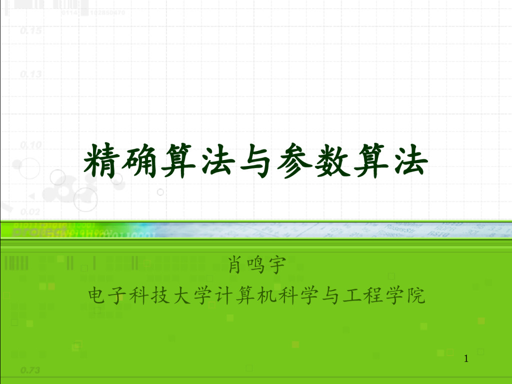 电子科技大学：精确算法与参数算法
