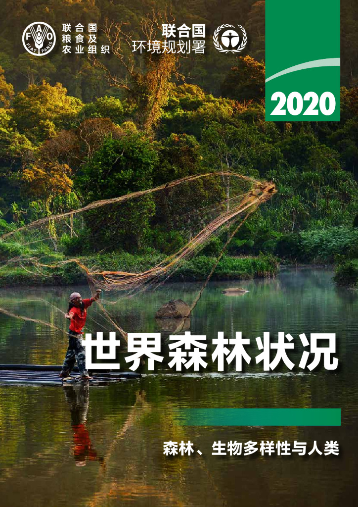 FAO联合国粮农组织：2020年世界森林状况报告