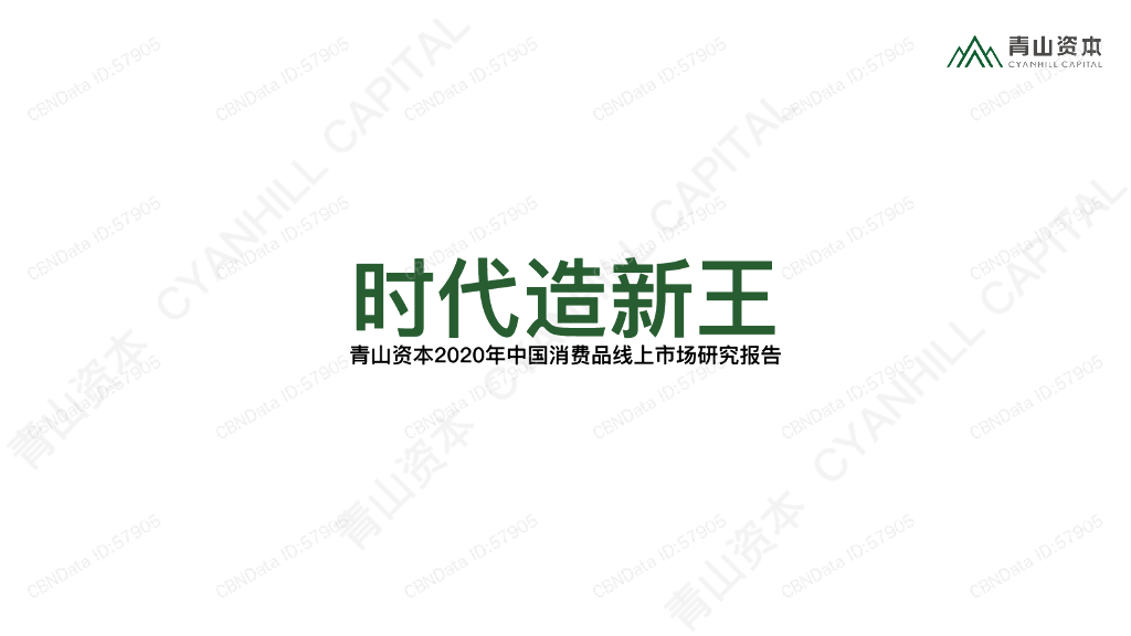 青山资本：2020中国消费品线上市场研究报告