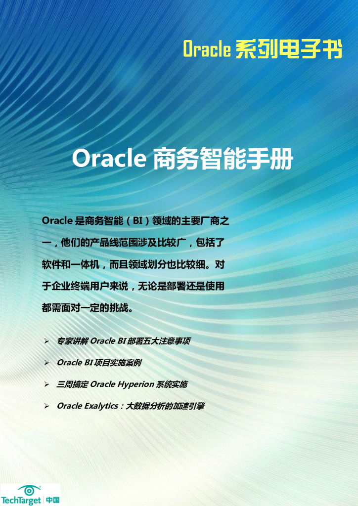 TechTarget：Oracle商务智能手册