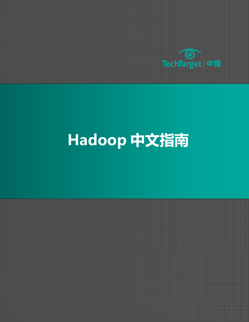TechTarget：Hadoop中文指南