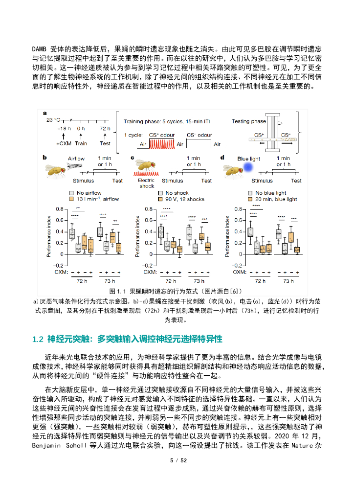智源人工智能研究院：2020年人工智能的认知神经基础白皮书_第7页