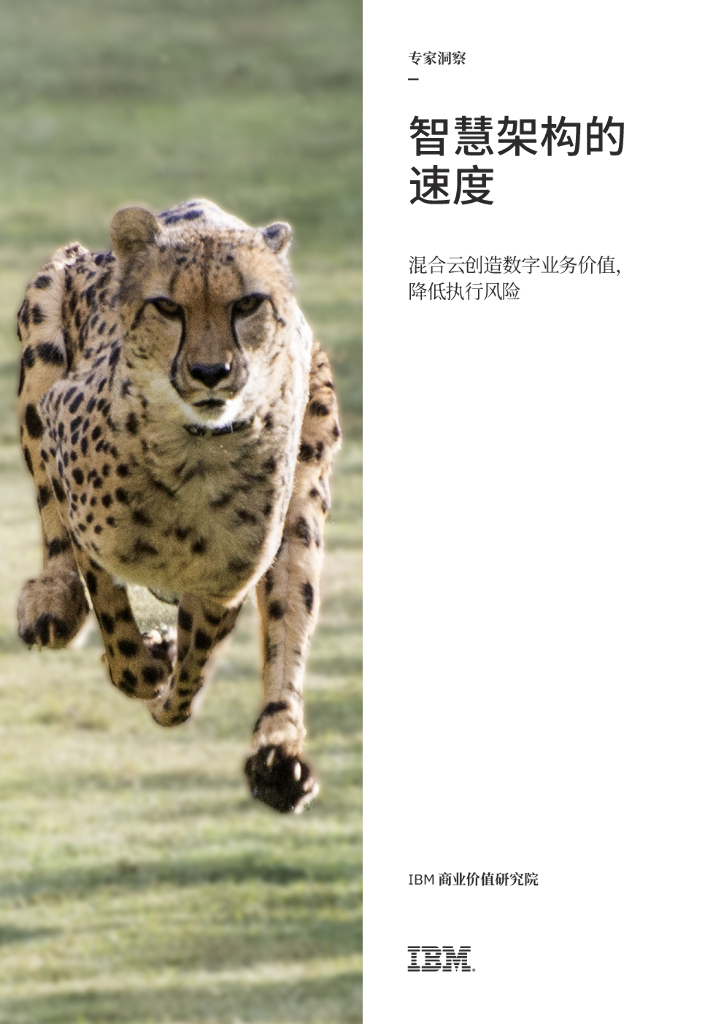 IBM 商业价值研究院：云计算行业智慧架构的速度——混合云创造数字业务价值，降低执行风险