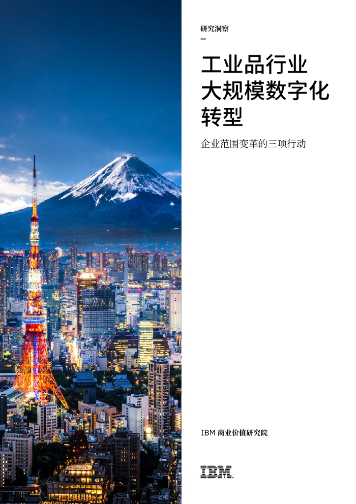 IBM 商业价值研究院：工业品行业大规模数字化转型，企业范围变革的三项行动
