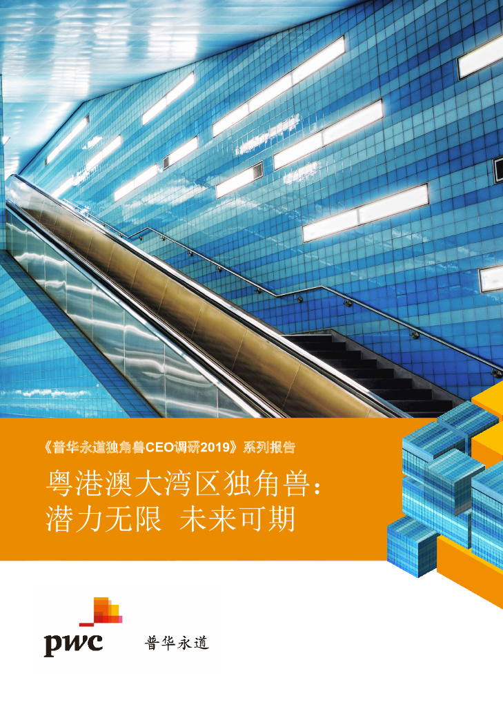 普华永道：《普华永道独角兽CEO调研2019》系列报告——粤港澳大湾区独角兽∶潜力无限 未来可期