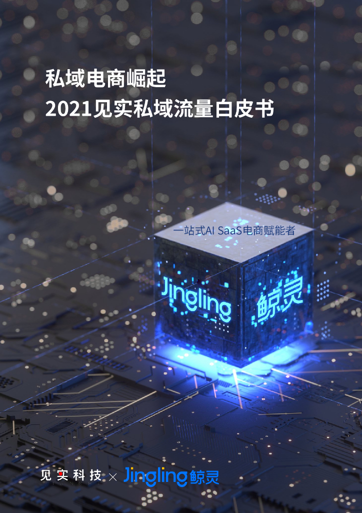 2021见实私域流量白皮书：私域电商崛起
