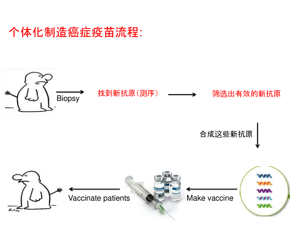 智源大会：人工智能赋能个体化癌症免疫治疗_第6页