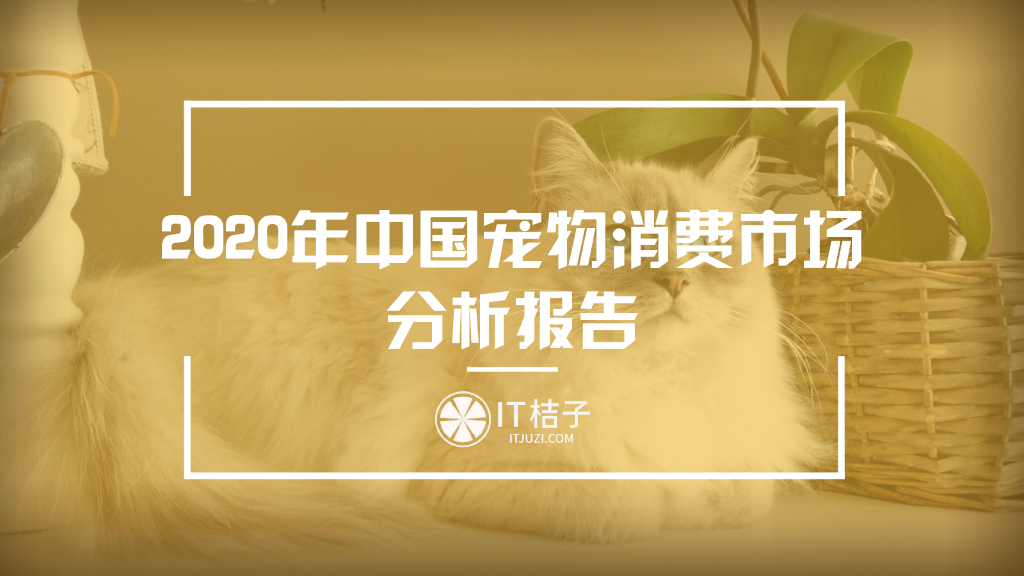 IT桔子：2020年中国宠物消费市场分析报告